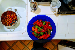 Peppers-and-grape-tomatoes
