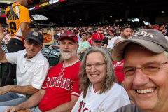 Angels-Tigers-game
