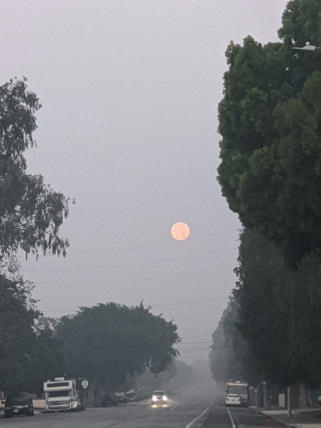 Full moon on Rose Ave