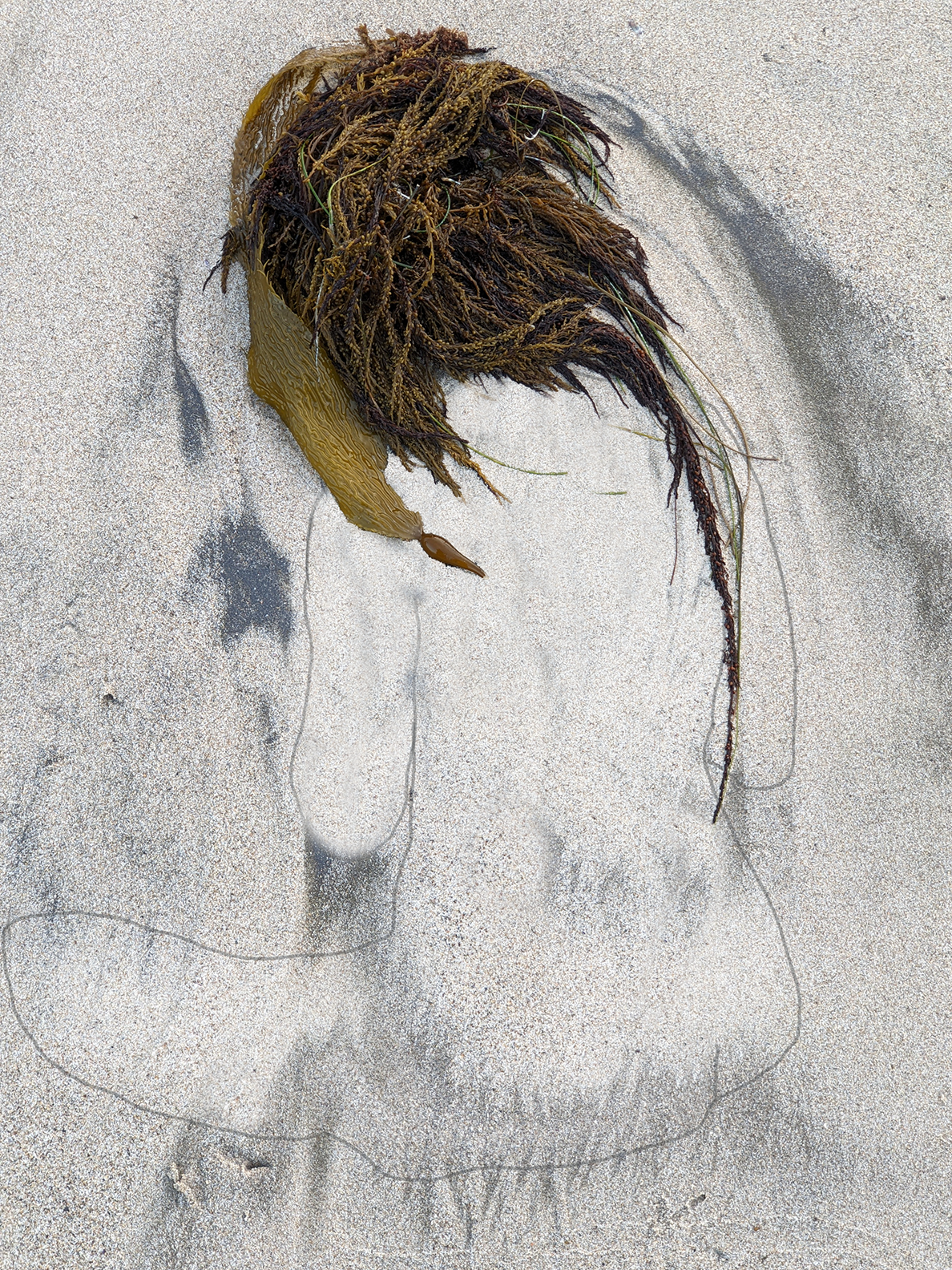 nude figure on beach with sea grass hair