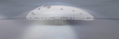 Birds on a Wire 10"x30"